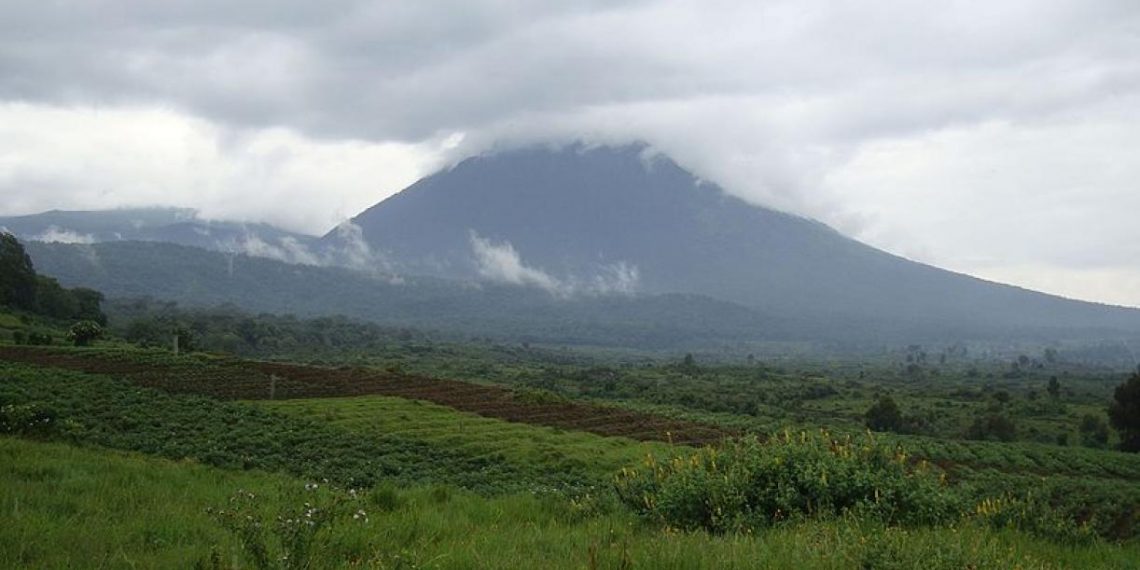 Promoting a Charcoal Alternative in DRC